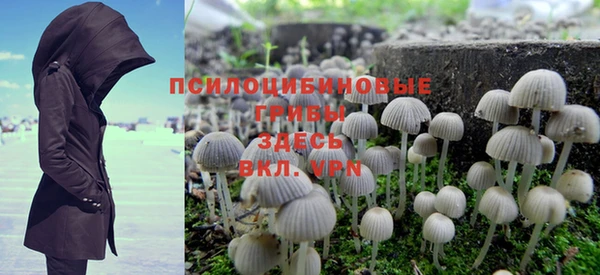 метадон Армянск