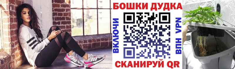 hydra tor  как найти закладки  Асбест  Шишки марихуана план 